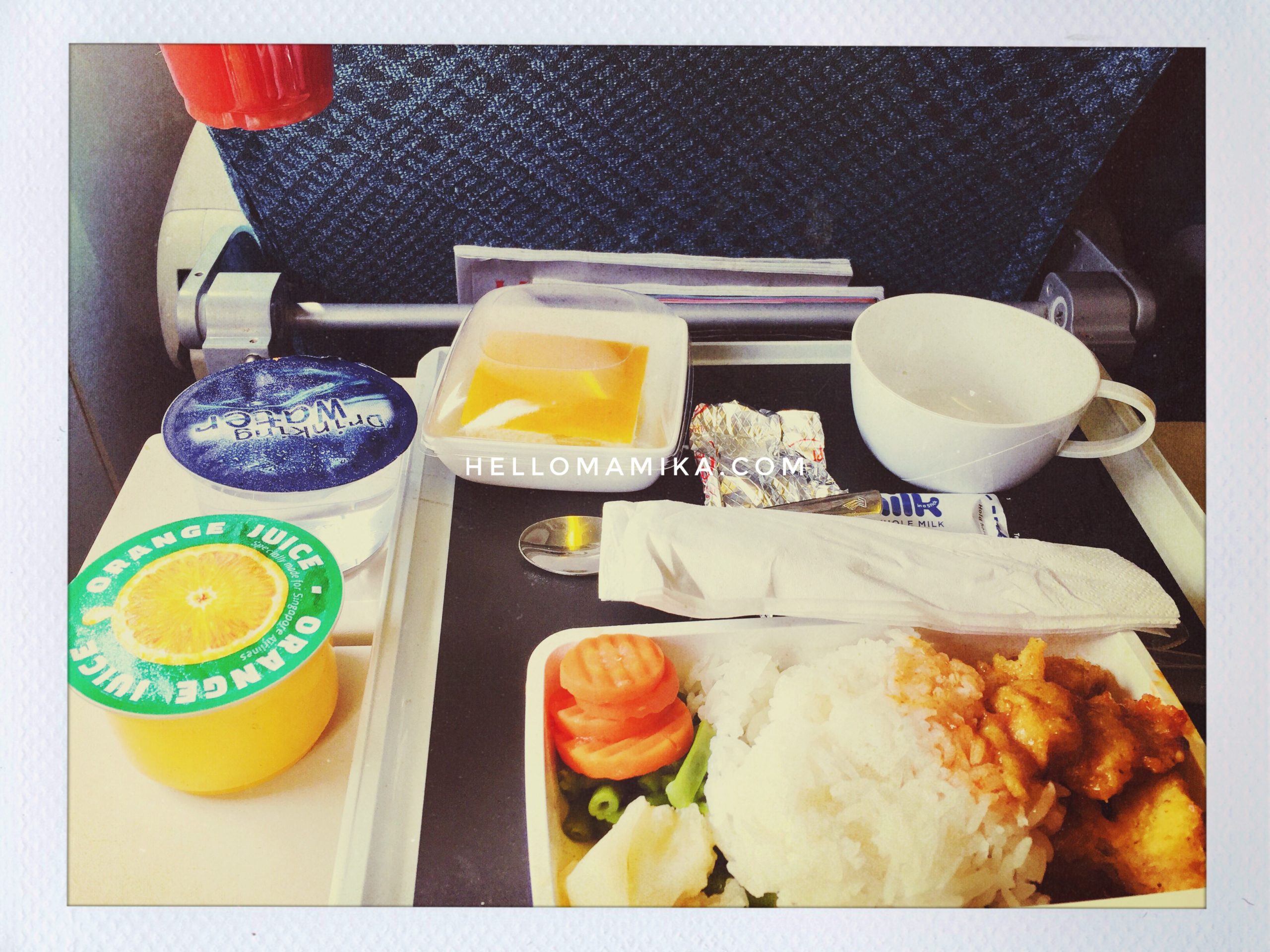 Inflight meal singapore airlines